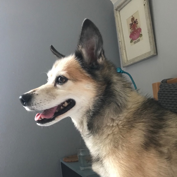 Meet your Posher, Nancy - Picture 1 of 1